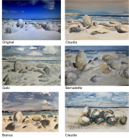 Platboom-Beach_Südafrika