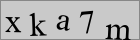 Sicherheitscode