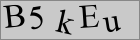Sicherheitscode