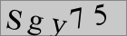 Sicherheitscode