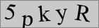 Sicherheitscode