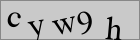 Sicherheitscode