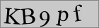 Sicherheitscode