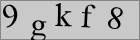 Sicherheitscode